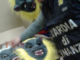 Piraino (Me) Carnevale “sicuro”: i finanzieri sequestrano trentamila prodotti cinesi, una denuncia