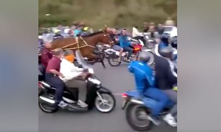 Corse di cavalli, se a Messina serve un ippodromo