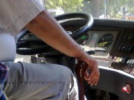 Ordinanza antibus, FDI invoca… Accorinti