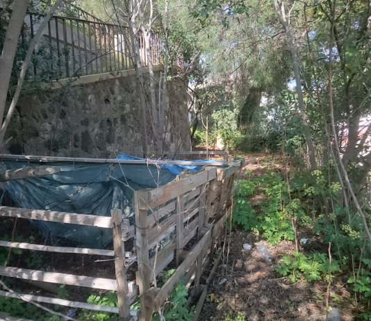 Puli-AMO Messina apre la nuova stagione 2017 con il giardino di Montalto, il 5 marzo ore 10