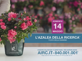 Festa della Mamma, a Piazza Duomo l’azalea per l’Airc