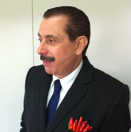 Catanzaro Calcio. Arrestati il presidente Cosentino e la figlia