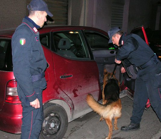 “ATHOS” e “ASZKOR” : due dei cani Carabinieri al servizio del G7