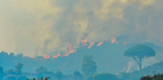 Arrestato piromane, stava per appiccare il fuoco a Monforte San Gior
