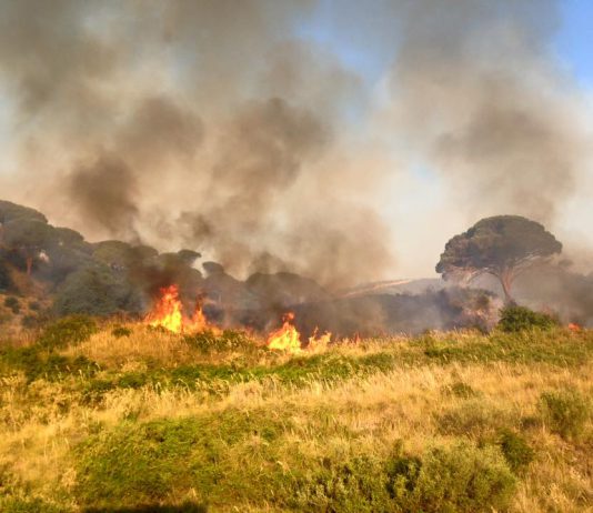 Incendi a Messina, i canadair riprendono a volare: ancora fiamme all’Annunziata
