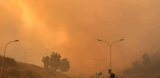 Incendi a Messina, la testimonianza: “Io impotente dinanzi al fuoco, bloccato da una legge ingiusta”