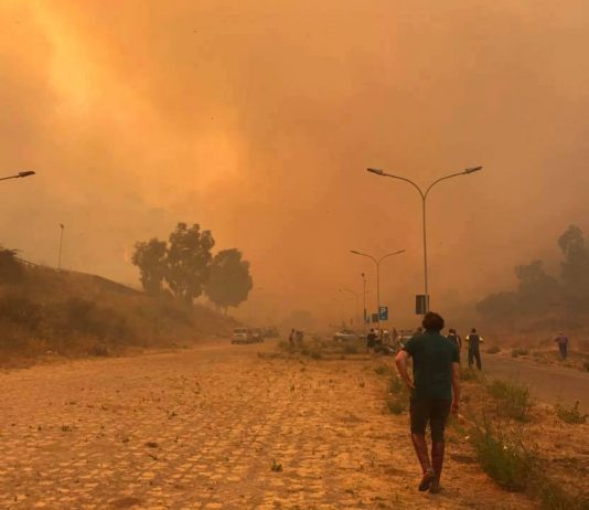 Incendi a Messina, la testimonianza: “Io impotente dinanzi al fuoco, bloccato da una legge ingiusta”