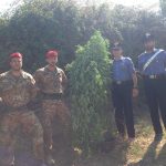 Coltivava canapa indiana a Castanea, nei guai un incensurato