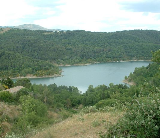 Ambiente: bloccati quattro bracconieri nel lago d’Ancipa