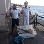 Messina: sequestrato tonno rosso di 30 Kg