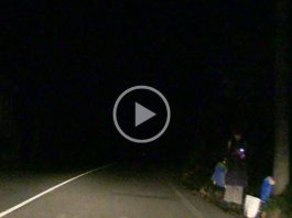 Abituarsi al rischio ovvero vivere sulla S.S.113 (Video)