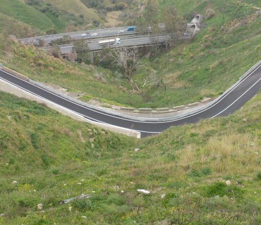 Si getta dal viadotto dopo incidente, indagini sulla morte di una maestra 40enne