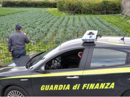 Barcellona P.G.: falsi prodotti BIO, 500 tonnellate sottoposte a sequestro