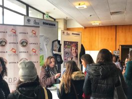 Salone dell’Orientamento: migliaia di studenti agli stand Unime