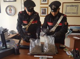Nascondevano 1 kg di marijuana dietro la cuccia del cane, arrestati due 21enni
