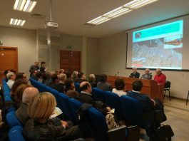 Aladino, la nuova linea di bus elettrici da ottobre a Messina