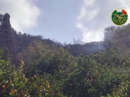 Condrò, brucia arbusti nel suo terreno e innesca un incendio: denunciato