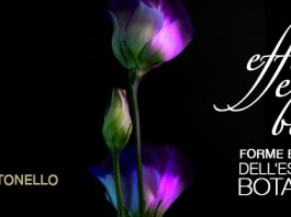 “Effimeri&Belli”: dal 23 al 31 maggio la mostra degli studenti del Liceo Seguenza al Palacultura