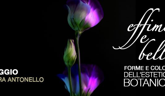 “Effimeri&Belli”: dal 23 al 31 maggio la mostra degli studenti del Liceo Seguenza al Palacultura