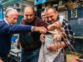 Amministrative, il programma marino del candidato a cinque stelle Gaetano Sciacca