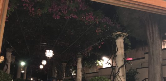 TaoBuk: serata inaugurale annullata, la pioggia e il messaggio di pace di Amos Oz