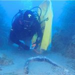 I Carabinieri del Nucleo Subacquei di Messina riportano alla luce un’ancora di epoca romana