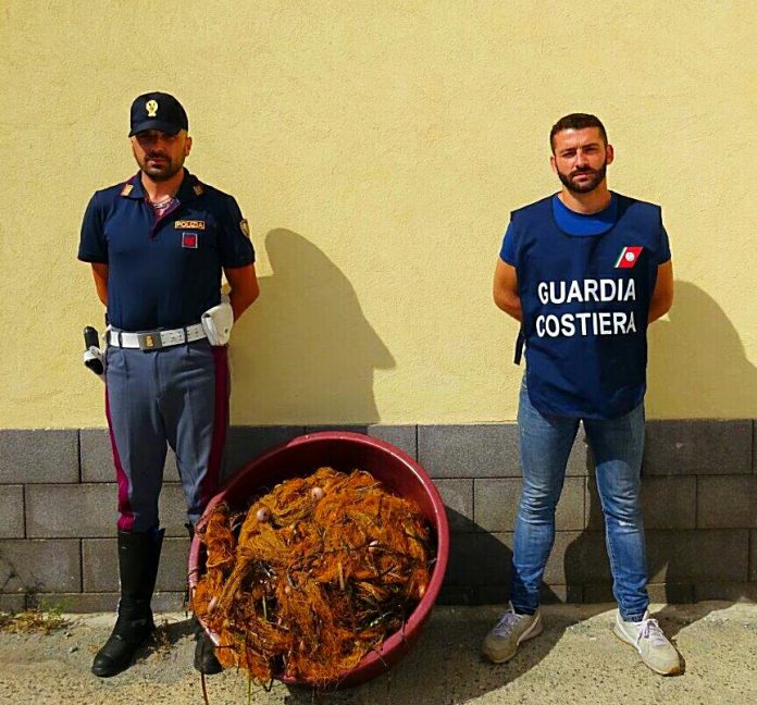 Foto sequestro pesce