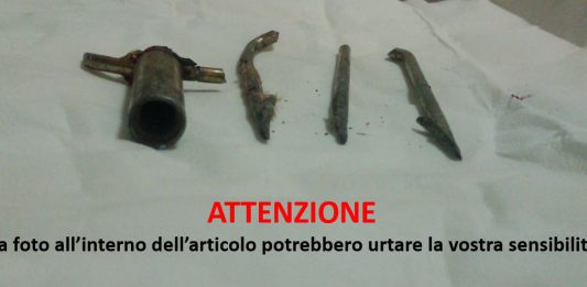 Gatta fiocinata all’occhio: recuperata e soccorsa. Ecco come aiutarla