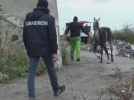 Op. ZIKKA, dieci condanne e due assoluzioni. Risarcimento per le parti civili