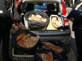 Trasportava pane in un mezzo non idoneo: multato dalla Polizia