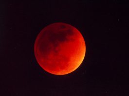 Onde Sonore, pienone di pubblico nella notte dell’eclissi