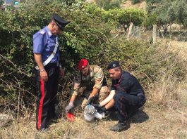 Perquisizioni a tappeto a Santa Lucia sopra Contesse: sequestrato oltre un chilo di droga