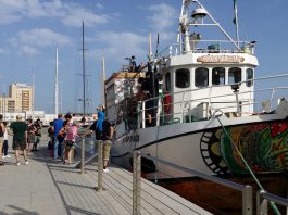 Freedom Flottilla 2018: AlAwda bloccata, Freedom in arrivo a Gaza