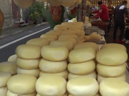 “Ottobrando” a Floresta: tra funghi e natura parlando di sviluppo sostenibile con il Prefetto