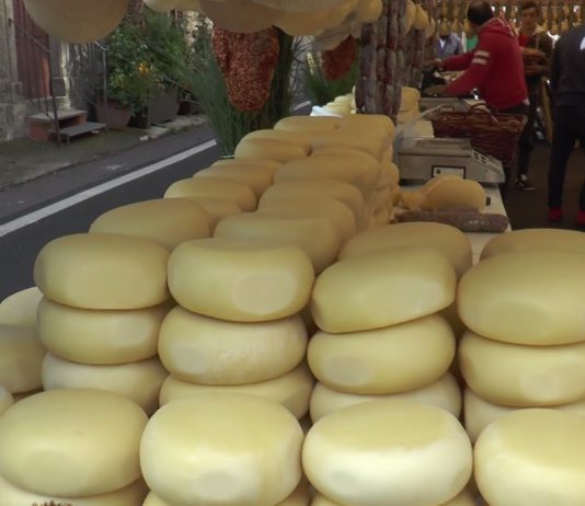 “Ottobrando” a Floresta: tra funghi e natura parlando di sviluppo sostenibile con il Prefetto