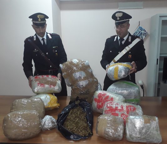Nascondeva 28 kg di marijuana in casa: arrestata una 20enne