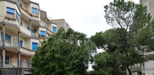Maltempo: a Messina piovono…alberi, da Provinciale alla Circonvallazione