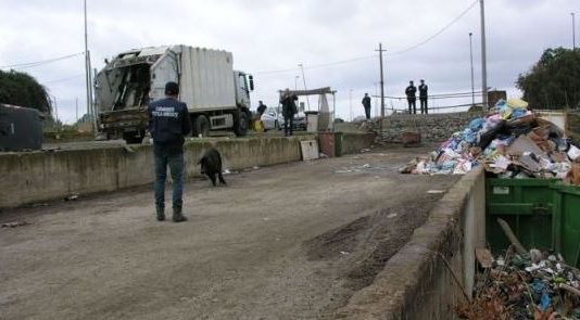 Milazzo, suini neri a nutrirsi nella discarica comunale: sequestrata l’area