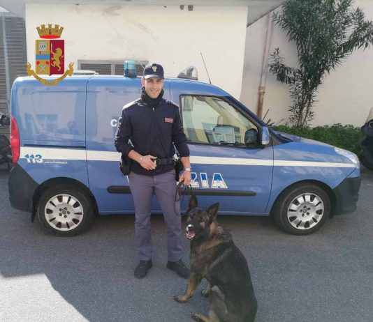 “Quartieri e Scuole Sicure”. 4 arresti, 7 denunce, 4 dosi di droga sequestrate