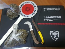 Messina: trovato in possesso di marijuana. Barcellonese arrestato dai Carabinieri