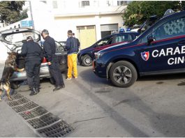 Naso, scovato spacciatore grazie anche al fiuto dei cani