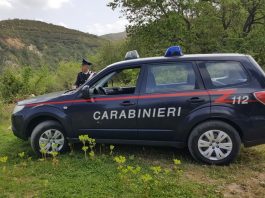 Basicò: i Carabinieri arrestano un uomo condannato per incendio boschivo
