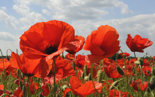 25 aprile: tocca scrivere, quando qualche “intellettuale” a Messina si risveglia nostalgico
