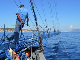 Caccia al Pescespada sullo Stretto: si torna in mare, le “Poste” come nel 2019