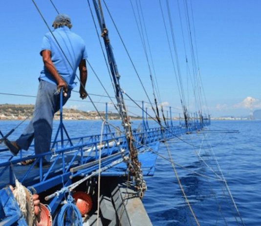 Pesca, Commissione Ars approva il ddl del governo per favorire pescaturismo, ittiturismo e vendita diretta