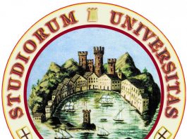 Un ponte tecnologico ed educativo tra l’Università di Messina e l’Egitto sui combustibili solari