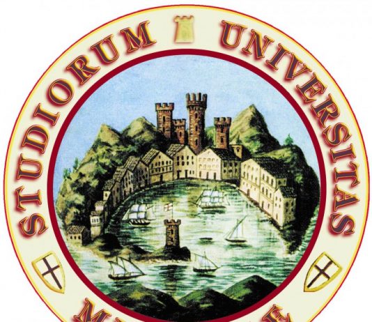 Un ponte tecnologico ed educativo tra l’Università di Messina e l’Egitto sui combustibili solari