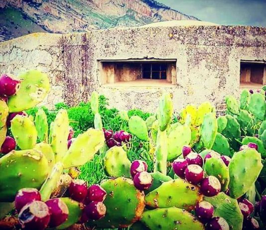 “Settimana delle Culture 2019”: Isola delle Femmine, visita guidata bunker della Seconda Guerra Mondiale per iniziativa di BCsicilia e ANFI