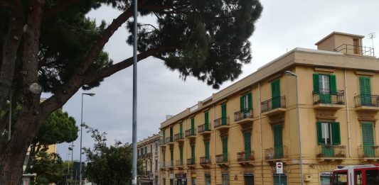 Albero pericolante in Corso Cavour, intervengono i pompieri