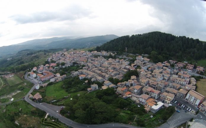 floresta-panorama